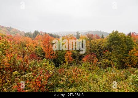 Spektakuläre Herbstfärbung in der Kankamagus Highway Region von Mount Washington, New Hampshire, New England, USA im Herbst Stockfoto