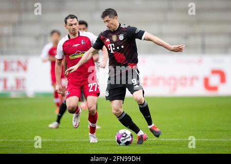 Freiburg Im Breisgau, Deutschland. Mai 2021. Fußball: Bundesliga, SC Freiburg - Bayern München, Matchday 33 im Schwarzwald-Stadion. Der Münchner Robert Lewandowski (r) im Kampf gegen den Freiburger Nicolas Höfler (l). Kredit: Tom Weller/dpa - WICHTIGER HINWEIS: Gemäß den Bestimmungen der DFL Deutsche Fußball Liga und/oder des DFB Deutscher Fußball-Bund ist es untersagt, im Stadion und/oder vom Spiel aufgenommene Fotos in Form von Sequenzbildern und/oder videoähnlichen Fotoserien zu verwenden oder zu verwenden./dpa/Alamy Live News Stockfoto