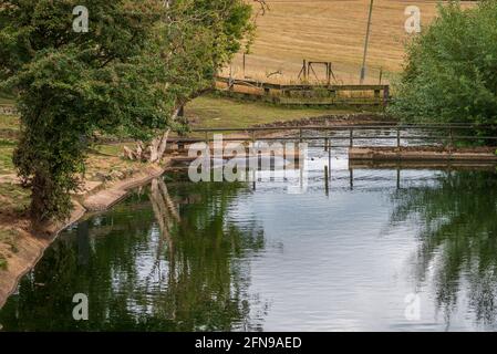 Flusspferde im Wasser innerhalb des Zoogeheges Stockfoto