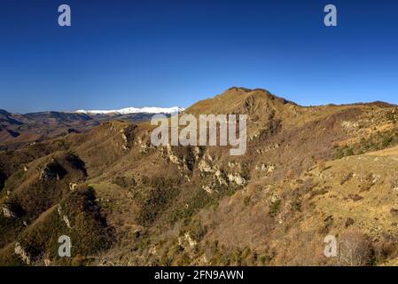 Blick auf den Comanegra-Gipfel vom Pfad zwischen Puig de les Bruixes und Basses de Monars (Garrotxa, Katalonien, Spanien, Pyrenäen) Stockfoto