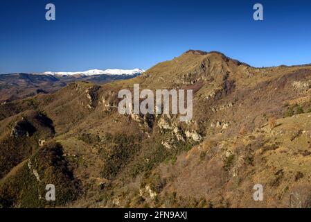 Blick auf den Comanegra-Gipfel vom Pfad zwischen Puig de les Bruixes und Basses de Monars (Garrotxa, Katalonien, Spanien, Pyrenäen) Stockfoto