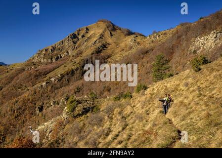 Blick auf den Comanegra-Gipfel vom Pfad zwischen Puig de les Bruixes und Basses de Monars (Garrotxa, Katalonien, Spanien, Pyrenäen) Stockfoto