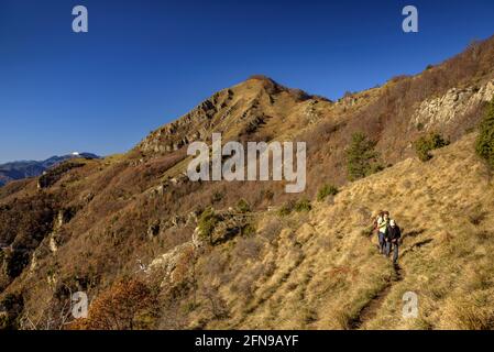 Blick auf den Comanegra-Gipfel vom Pfad zwischen Puig de les Bruixes und Basses de Monars (Garrotxa, Katalonien, Spanien, Pyrenäen) Stockfoto