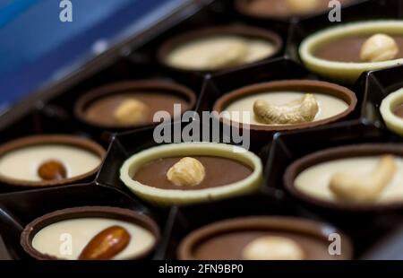 Schokoladen-Bonbons in einer Schachtel, Haselnussmandel und Cashewnüsse in Schoko-Süßigkeiten, rohe vegane Schokolade. Leckere Geschenkschachtel, süße Versuchung, eine Schachtel Schoko Stockfoto