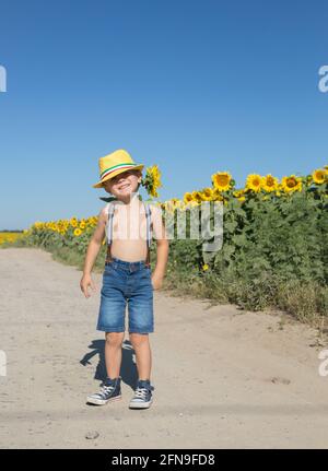Sonniger Sommertag auf einem Feld blühender Sonnenblumen. Vor dem Hintergrund von Blumen, ein lustiger positiver Junge von 4-5 Jahren in einem gelben Hut und kurz Stockfoto