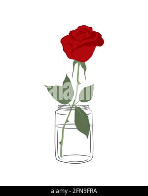 Rose in einem Glas. Rote Blume mit grünen Blättern auf weißem Hintergrund. Sommerblumen. Florale Komposition. Vektorgrafik Stock Vektor