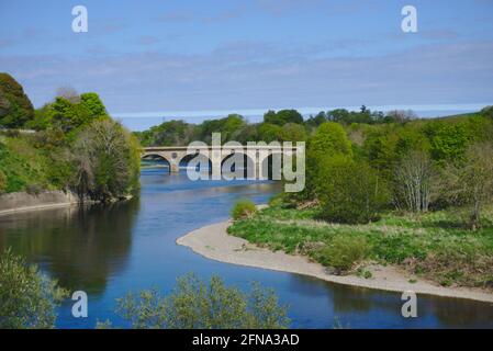 Blick über den Fluss Tweed vom Henderson Park, Coldstream, Berwickshire, Scottish Borders, Schottland, Großbritannien, mit Coldstream Bridge im Hintergrund. Stockfoto