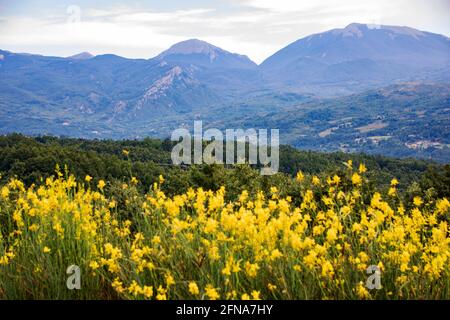 Nationalpark von Pollino, in der Region Basilicata, Italien Stockfoto