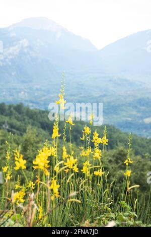 Nationalpark von Pollino, in der Region Basilicata, Italien Stockfoto