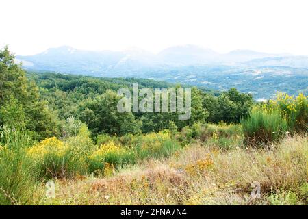 Nationalpark von Pollino, in der Region Basilicata, Italien Stockfoto