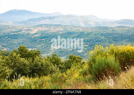 Nationalpark von Pollino, in der Region Basilicata, Italien Stockfoto