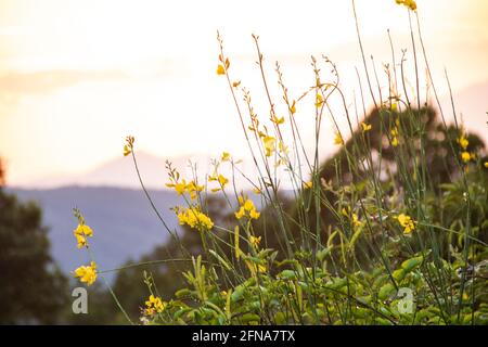 Nationalpark von Pollino, in der Region Basilicata, Italien Stockfoto