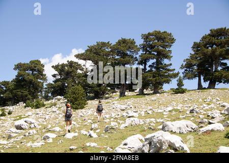 In San Severino Lucano - Italien - am 2020. august - Landschaft von Pollino Nationalpark, ein weites Naturschutzgebiet in Basilicata und Kalabrien, italienische Re Stockfoto