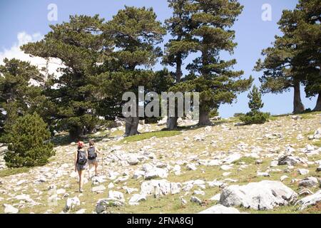 In San Severino Lucano - Italien - am 2020. august - Landschaft von Pollino Nationalpark, ein weites Naturschutzgebiet in Basilicata und Kalabrien, italienische Re Stockfoto