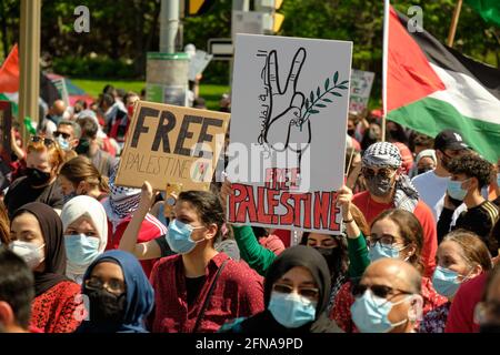 Ottawa, Kanada. Mai 2021. Am Nakba-Tag, dem Gedenken an den erzwungenen Exodus der Palästinenser aus den palästinensischen Gebieten aus dem Jahr 1948, versammeln sich Tausende von Demonstranten und marschieren durch die Straße von Ottawa, um die Befreiung Palästinas von der israelischen Besatzung zu fordern. Sie prangern auch die Zunahme der Gewalt durch die israelische Armee in der letzten Woche an und fordern die kanadische Regierung auf, sich über die Angriffe von Palästinensern in Gaza, Jerusalem, der Westbank und ganz Palästina zu äußern. Kredit: Meanderingemu/Alamy Live Nachrichten Stockfoto