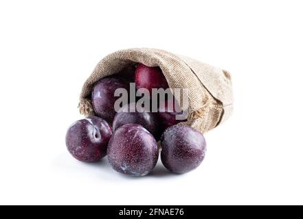 Frische große Pflaume in Sackleinen isoliert auf weiß Stockfoto