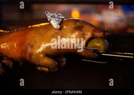 Das ganze Schwein wird auf Feuer geröstet. Goldene Kruste auf einem Toast, gebraten über einem offenen Feuer. Das Schwein backt auf einem offenen Feuer. Fleisch wird in Ruhe im Freien gebacken Stockfoto