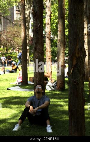 New York, New York, USA. Mai 2021. Ein Blick auf die Ausstellung „Ghost Forest“ im Madison Square Park von der Künstlerin Maya Lin, die das Vietnam Veterans Memorial in Washington entworfen hat. DC. Die Ausstellung soll das Bewusstsein für den Klimawandel und den Verlust von Wäldern auf der ganzen Welt schärfen. Der Künstler verwendete 49 tote weiße Zedernbäume aus den Pine Barrens von New Jersey, die durch die Salzwasserüberflutung zerstört wurden. Quelle: Nancy Kaserman/ZUMA Wire/Alamy Live News Stockfoto