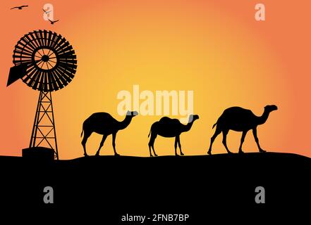 Silhouette von australischen Kamelen und Windmühle im Sonnenuntergang mit Drei Vögel fliegen Stock Vektor