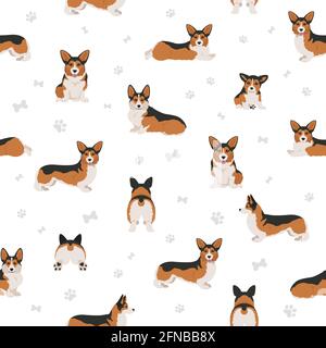 Welsh Corgi pembroke Nahtloses Muster. Verschiedene Posen, Fellfarben eingestellt. Vektorgrafik Stock Vektor