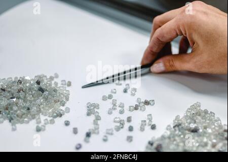 Manuelle Sortierung von Diamanten. Eine Hand mit Pinzette überträgt Diamanten von einem Stapel auf einen anderen. Stockfoto