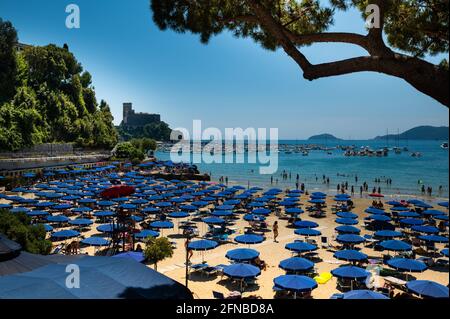 Lerici, Ligurien, Italien. Juni 2020. Die Silhouette eines Kiefernstammes mit dem Hintergrund des Schlosses von Lerici umrahmen den Strand voller blauer Sonnenschirme a Stockfoto