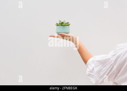 Eine Frau, die eine eitrige Blume in ihrer Handfläche hält Stockfoto