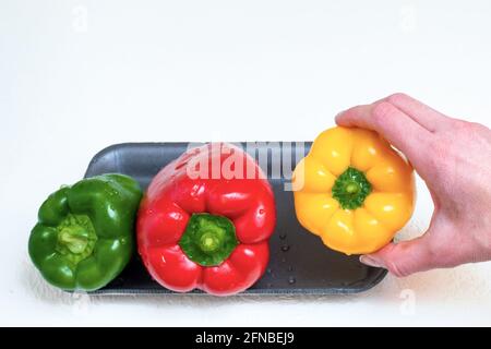 Hand halten gelbe Paprika und für die Zubereitung von Salat aus gelb roten und grünen Paprika, Nahaufnahme. Paprika mit Wassertropfen benetzen. Das Konzept von Stockfoto