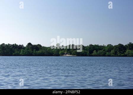 Mangrovenwald am Nachmittag in Koh Phra Thong, Thailand Stockfoto