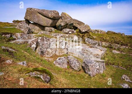 Shilstone Tor, auf Throwleigh Common, wurde in der Vergangenheit stark abgebaut und ist viel entmutigt. Dartmoor-Nationalpark, Devon, England, Großbritannien Stockfoto