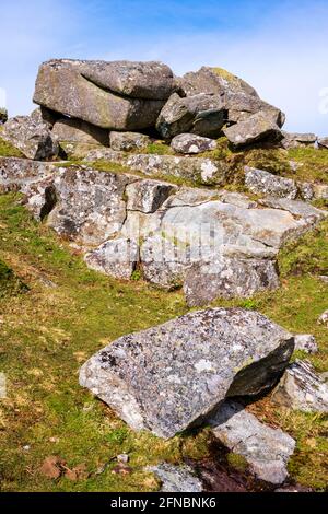 Shilstone Tor, auf Throwleigh Common, wurde in der Vergangenheit stark abgebaut und ist viel entmutigt. Dartmoor-Nationalpark, Devon, England, Großbritannien Stockfoto