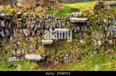 Traditioneller Treppenbau über einer Ufermauer von Devon auf High Down, in der Nähe von Lydford, Dartmoor National Park, Devon, England, VEREINIGTES KÖNIGREICH Stockfoto