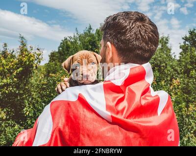 Attraktiver Mann hält einen charmanten Welpen auf einem Hintergrund von blauem Himmel an einem klaren, sonnigen Tag. Im Freien, Nahaufnahme. Nationales Urlaubskonzept Stockfoto