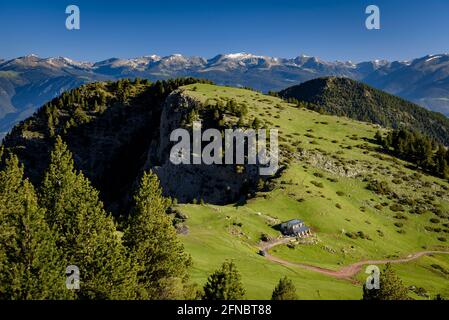 Prat d'Aguiló Hütte und Wiesen im Frühling im Nationalpark Cadí-Moixeró (Cerdanya, Katalonien, Spanien, Pyrenäen) Stockfoto