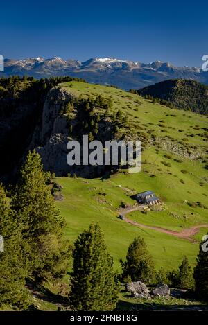 Prat d'Aguiló Hütte und Wiesen im Frühling im Nationalpark Cadí-Moixeró (Cerdanya, Katalonien, Spanien, Pyrenäen) Stockfoto