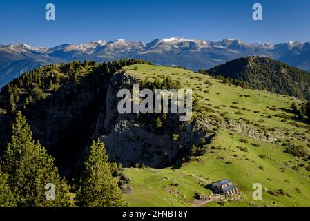 Prat d'Aguiló Hütte und Wiesen im Frühling im Nationalpark Cadí-Moixeró (Cerdanya, Katalonien, Spanien, Pyrenäen) Stockfoto