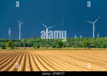 Windturbinen auf dem Windtestgelände Grevenbroich, dunkle Regenwolken, im rheinischen Braunkohlebergbaugebiet, Feld mit Kartoffelkämmen, bei Grevenbroich, N Stockfoto