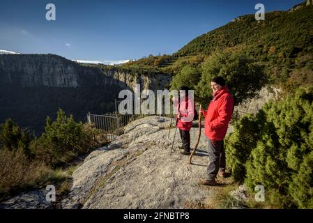 Sallent Cascade (Rupit) aus der Sicht der Wasserfälle (Collsacabra, Katalonien, Spanien) ESP: Salto de Sallent de Rupit desde el mirador, España Stockfoto