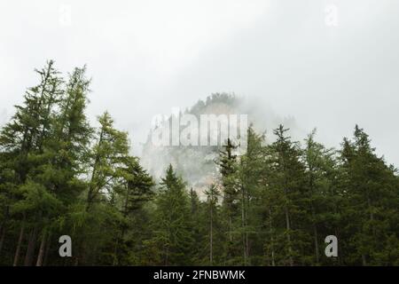 Neblige Berge im Herbst in Österreich Stockfoto