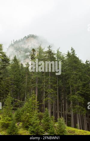 Neblige Berge im Herbst in Österreich Stockfoto