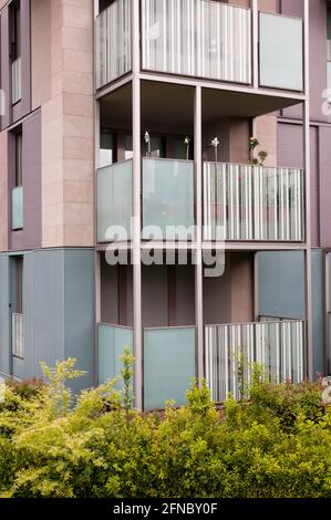 Perspektive des Stadtgebiets von Mailand (Portello) und der Entwicklung Stockfoto