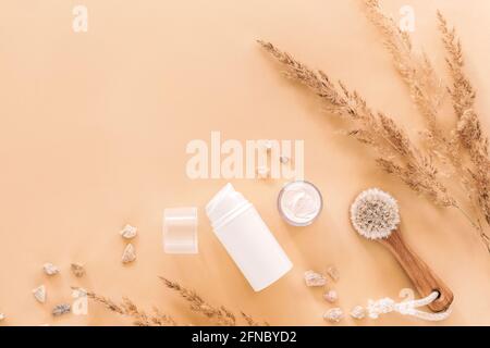 Bio-Naturkosmetik und Holzpinsel mit trockenem Gras Dekoration auf beigem Hintergrund. Draufsicht, flach liegend. Speicherplatz kopieren Stockfoto