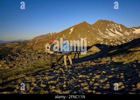 Blick auf die beiden Pics Perics von der Serra de Mauri aus gesehen, an einem Sommermorgen (Pyrenees-Orientales, Oczitanie, Frankreich) ESP: Vista de los dos Pics Perics Stockfoto