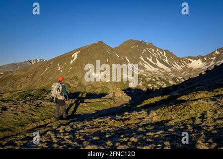 Blick auf die beiden Pics Perics von der Serra de Mauri aus gesehen, an einem Sommermorgen (Pyrenees-Orientales, Oczitanie, Frankreich) ESP: Vista de los dos Pics Perics Stockfoto