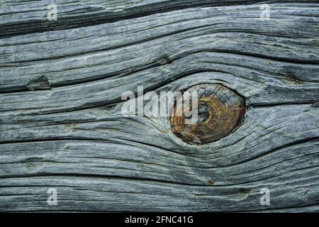 Risse und Knoten in einem alten Holzstamm Stockfoto