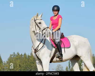 Reiter auf dem Rücken eines bayerischen Pferdes Stockfoto