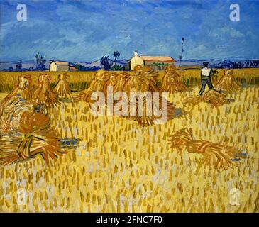 Vincent van Gogh Kunstwerk - Maisernte in der Provence - 1888 Stockfoto