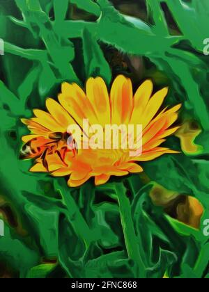 Eine Biene sammelt Nektar aus einer Blume. Tiere und Natur Stockfoto