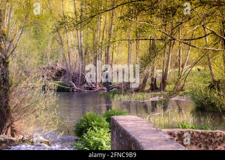 Zwei junge Angler mit Angelkleidung und Rute watet die Bach oder Fluss mit hohen Gummistiefeln in der Mitte Der Natur mit selektivem Fokus Stockfoto