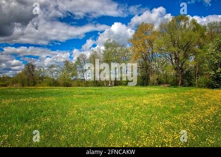 DE - BAYERN: Loisach Moorland bei Bichl (HDR-Fotografie) Stockfoto